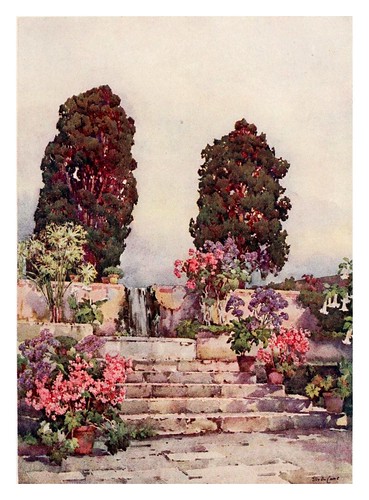 030-Jardin Botanico de la Orotava-The Canary Islands (1911) -Ella Du Cane