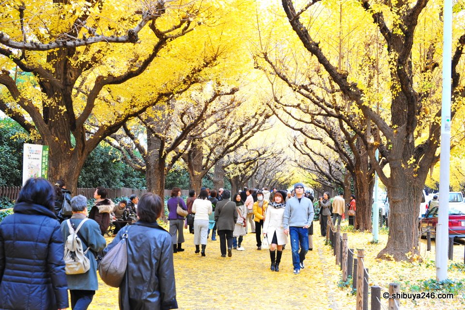 Despite being a little bit cold, everyone was enjoying themselves under the yellow canopy.