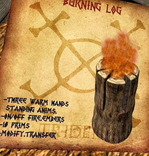 25L Tuesday Trident burning log