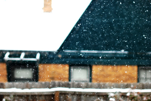 Snowy houses.