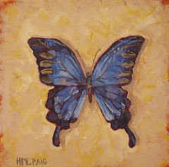 HMCraig--Blue-Gem-Butterfly