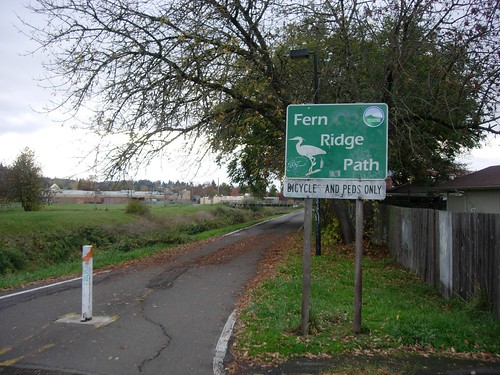 Fern Ride Path is one of the multi-use trails on the citys priority repair list.