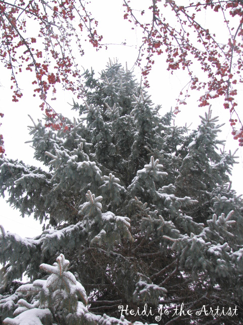 Pine Tree with Snow and Crab Apple Branches