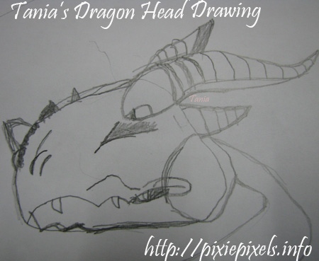 Day20 Dragon Head Drawing