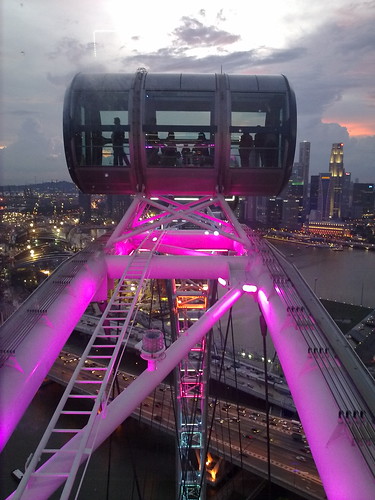 Singapore Flyer - at the top #1
