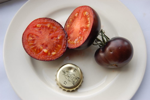 OSU Blue Fruit tomato