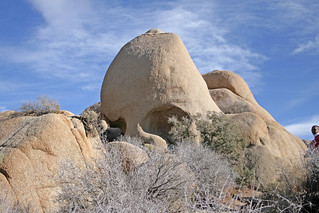 Skull Rock - Joshua Tree National Park (California USA)