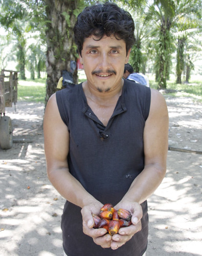 A member of the Aguan Valley Palm Producers Association holds the fruit from which palm oil is extracted. (Photo by TechnoServe.) 