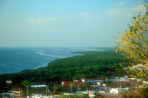 Campeche Tarpon