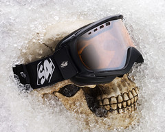 S4 Goggles on Skull in Ice