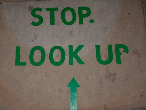 stencil graffiti, all green capital letters: Stop. Look up
