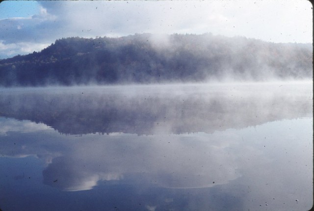 lake mist 73