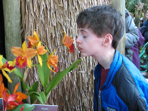 Peter stops to smell the flowers