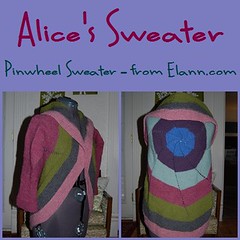 20100329 - Alice's Sweater