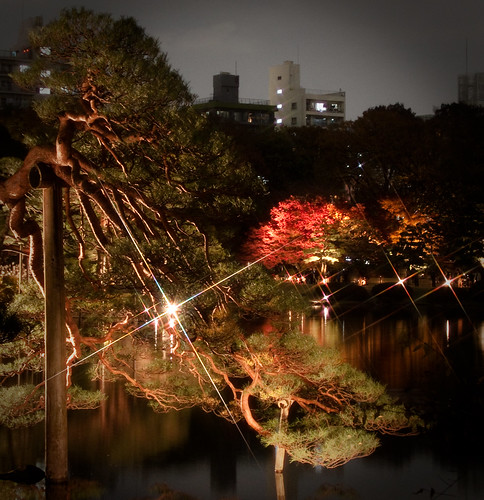 Rokugien Autumn Lightup-9