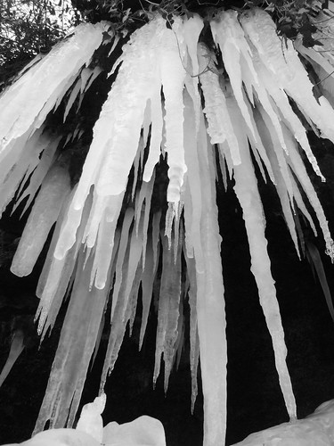 icicles 01
