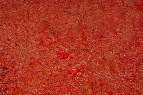 Texture: Red Fiberglass