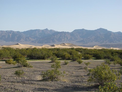 Mesquite Flat Dunes-1