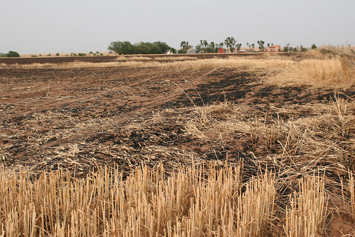 Another field burned a little too close to Dan's home.