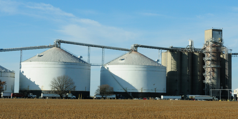 Busy Day at the Grain Elevator