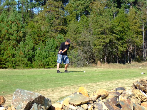 Golfing (by ann-dabney)