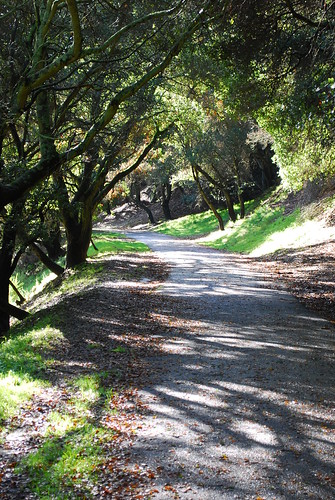 Shepherd Canyon trail