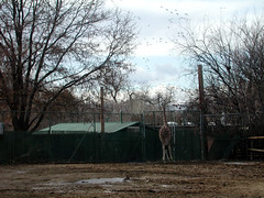 Zoo of Denver  DSCN0113_1