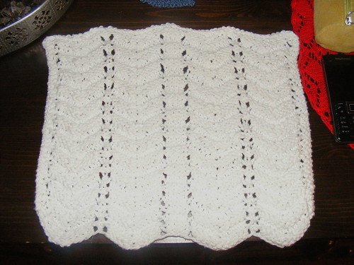 Feather and fan dishcloth by you.