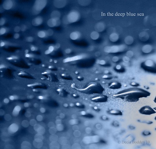 In the deep blue sea/ En el azul y profundo mar by Decia Bodden