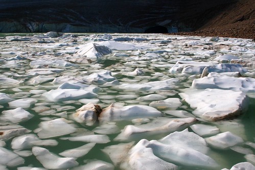 Ice breaking up on Clavell Lake in Jasper National Park (by Alaskan Dude)
