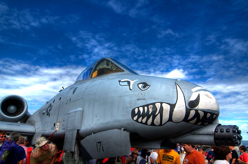 Airplane picture - A-10 Thunderbolt II