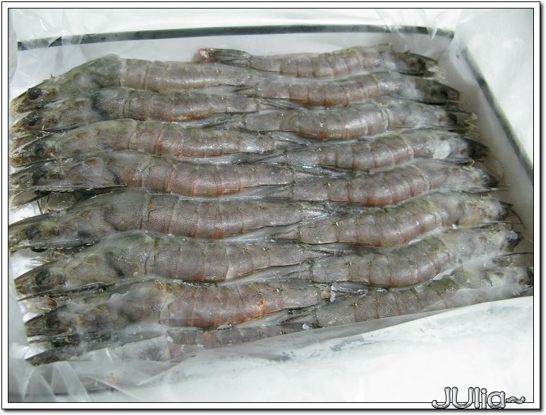 汶萊藍蝦 (2)