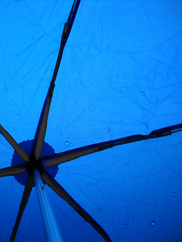 Raindrops on my blue umbrella