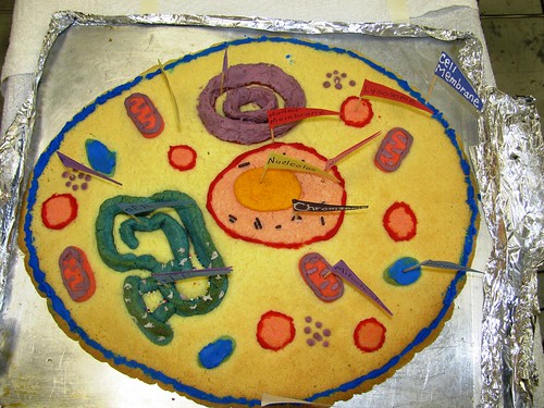 EDIBLE PLANT CELL PROJECT ~ COOKIE