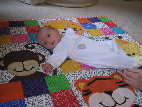 Zoe's Jungle Quilt in action!