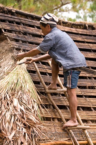 Banaue Ethnic Village Ifugao Repairing Roof of Native House