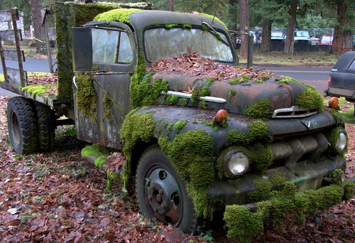 1951 Ford F5 Truck with Moss Dodge Park Oregon