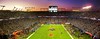 Super Bowl XLIV Panorama
