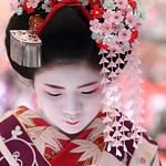 purple / pink / flower / girl / winter / bokeh : maiko (geisha apprentice) kyoto, japan / canon 7d 　日本・京都　舞妓 梅ちほさん　