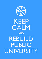 Keep Calm and Rebuild Public University
