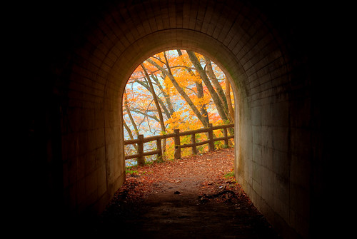 Autumn tunnel