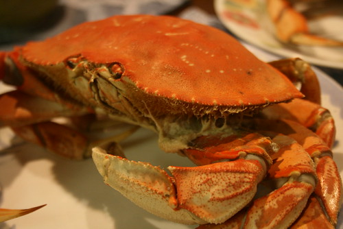 Crab from Half Moon Bay