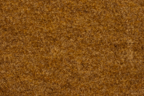Texture: Rough Rust Colored Carpet