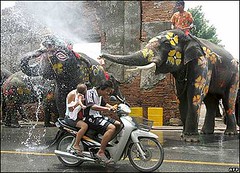 Current location: with mom at worlds biggest 3 day water fight at Thai New Year of Songkran, now in Patong Beach, Phuket, Thailand   [Songkran in the land of smiles (14).jpg]