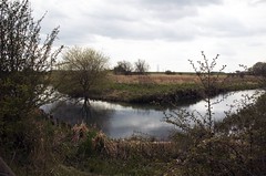 river near Driffield