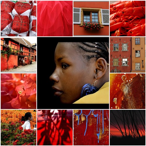 Beauty in Orange and red ...All images are from my Flickr friends .