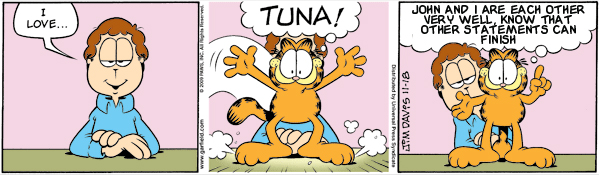 Garfield: Lost in Translation, November 18, 2009