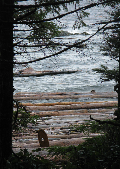 logs and other driftwood near Kasaan, Alaska