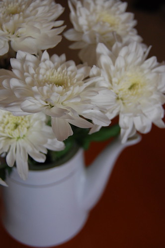 Flowers in coffee pot