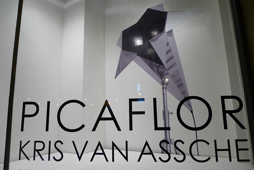 Vitrine Picaflor de Kris Van Assche, Galeries des Galeries, Paris, février 2010